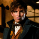 Newt and his Hufflepuff scarf.